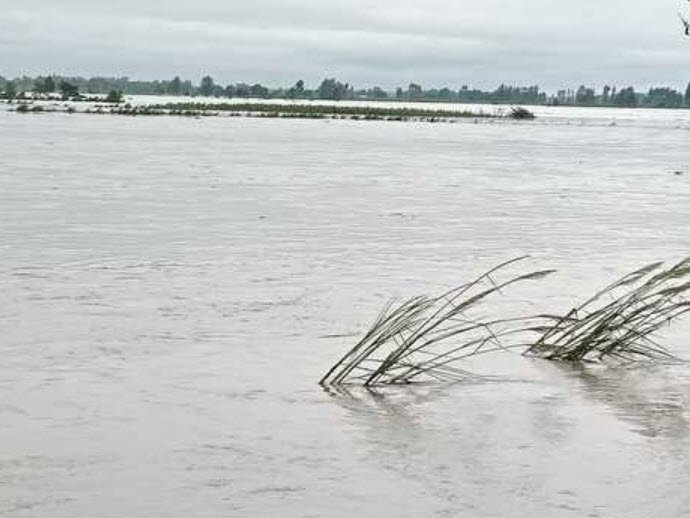 Kosi River